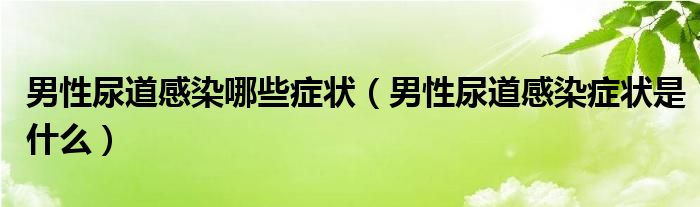 男性尿道感染哪些癥狀（男性尿道感染癥狀是什么）