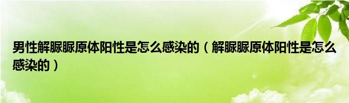 男性解脲脲原體陽性是怎么感染的（解脲脲原體陽性是怎么感染的）