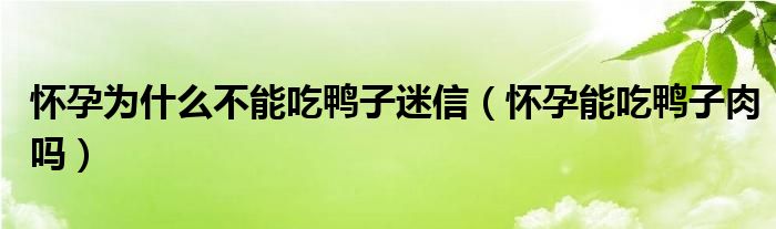 懷孕為什么不能吃鴨子迷信（懷孕能吃鴨子肉嗎）