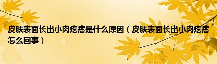 皮膚表面長出小肉疙瘩是什么原因（皮膚表面長出小肉疙瘩怎么回事）