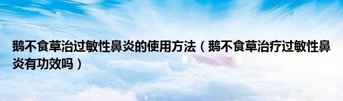 鵝不食草治過(guò)敏性鼻炎的使用方法（鵝不食草治療過(guò)敏性鼻炎有功效嗎）