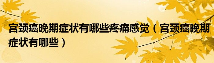 宮頸癌晚期癥狀有哪些疼痛感覺（宮頸癌晚期癥狀有哪些）