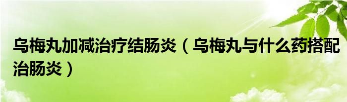 烏梅丸加減治療結(jié)腸炎（烏梅丸與什么藥搭配治腸炎）