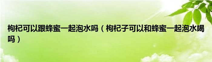 枸杞可以跟蜂蜜一起泡水嗎（枸杞子可以和蜂蜜一起泡水喝嗎）