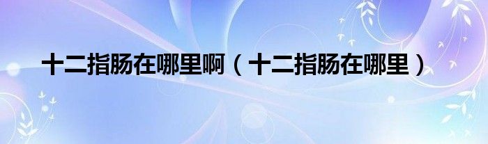 十二指腸在哪里?。ㄊ改c在哪里）