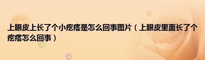 上眼皮上長了個小疙瘩是怎么回事圖片（上眼皮里面長了個疙瘩怎么回事）