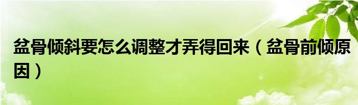 盆骨傾斜要怎么調(diào)整才弄得回來（盆骨前傾原因）