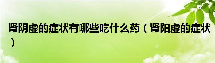 腎陰虛的癥狀有哪些吃什么藥（腎陽虛的癥狀）