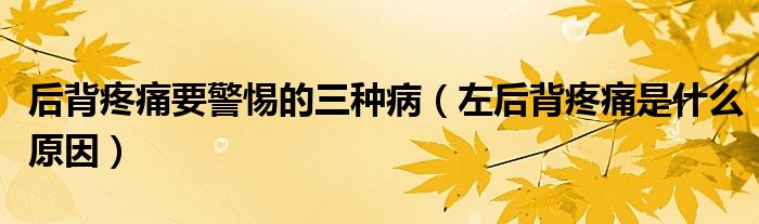 后背疼痛要警惕的三種?。ㄗ蠛蟊程弁词鞘裁丛颍?class='thumb lazy' /></a>
		    <header>
		<h2><a  href=