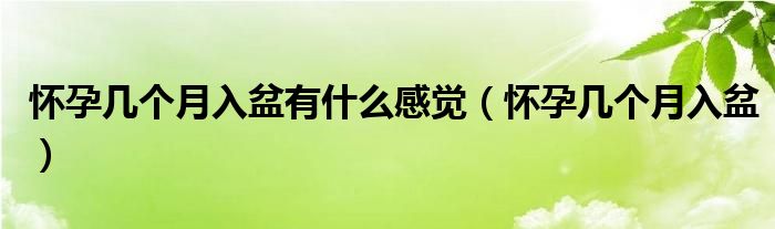 懷孕幾個(gè)月入盆有什么感覺（懷孕幾個(gè)月入盆）