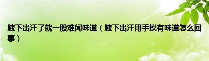 腋下出汗了就一股難聞味道（腋下出汗用手摸有味道怎么回事）