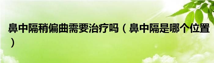 鼻中隔稍偏曲需要治療嗎（鼻中隔是哪個(gè)位置）