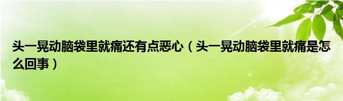 頭一晃動腦袋里就痛還有點惡心（頭一晃動腦袋里就痛是怎么回事）