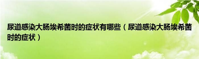 尿道感染大腸埃希菌時的癥狀有哪些（尿道感染大腸埃希菌時的癥狀）