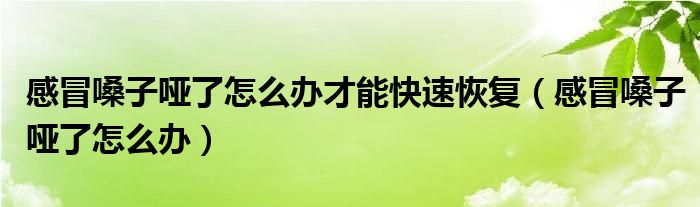 感冒嗓子啞了怎么辦才能快速恢復(fù)（感冒嗓子啞了怎么辦）