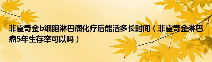 非霍奇金b細胞淋巴瘤化療后能活多長時間（非霍奇金淋巴瘤5年生存率可以嗎）