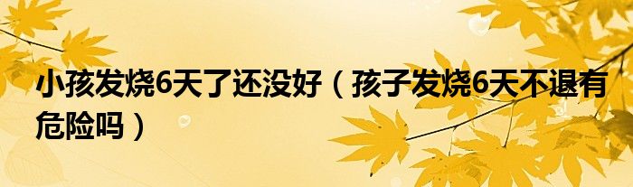 小孩發(fā)燒6天了還沒好（孩子發(fā)燒6天不退有危險(xiǎn)嗎）