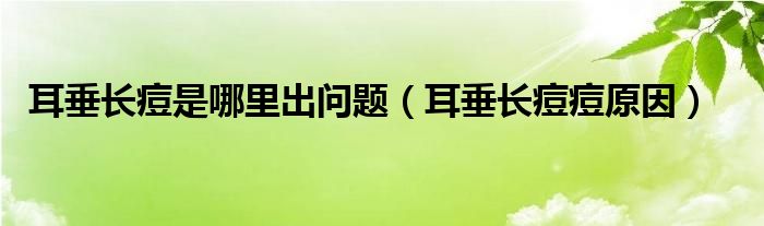 耳垂長痘是哪里出問題（耳垂長痘痘原因）