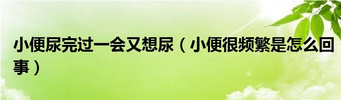 小便尿完過一會(huì)又想尿（小便很頻繁是怎么回事）