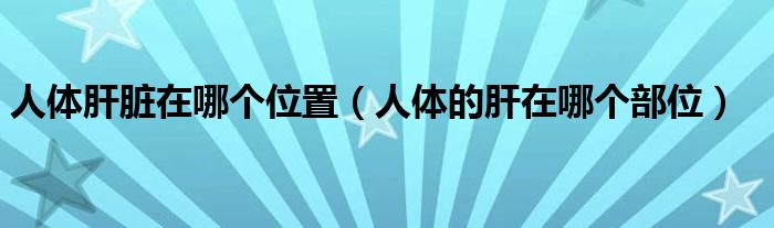 人體肝臟在哪個(gè)位置（人體的肝在哪個(gè)部位）