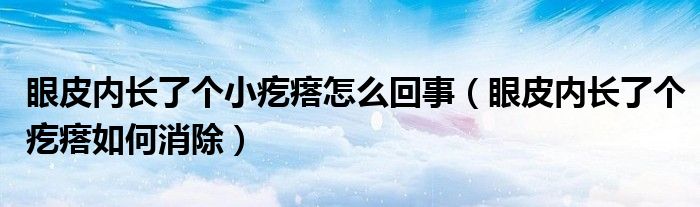 眼皮內長了個小疙瘩怎么回事（眼皮內長了個疙瘩如何消除）