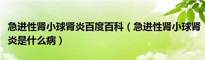 急進性腎小球腎炎百度百科（急進性腎小球腎炎是什么病）