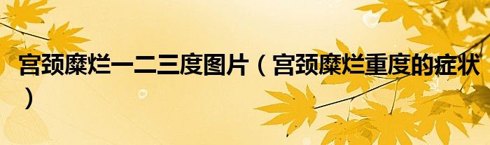 宮頸糜爛一二三度圖片（宮頸糜爛重度的癥狀）