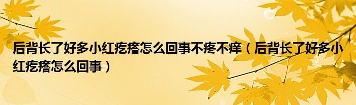 后背長(zhǎng)了好多小紅疙瘩怎么回事不疼不癢（后背長(zhǎng)了好多小紅疙瘩怎么回事）