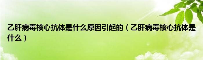 乙肝病毒核心抗體是什么原因引起的（乙肝病毒核心抗體是什么）