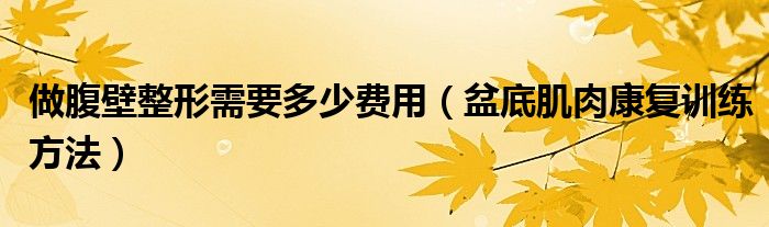 做腹壁整形需要多少費用（盆底肌肉康復(fù)訓(xùn)練方法）