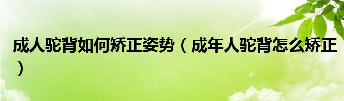 成人駝背如何矯正姿勢（成年人駝背怎么矯正）