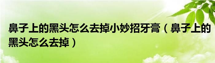 鼻子上的黑頭怎么去掉小妙招牙膏（鼻子上的黑頭怎么去掉）