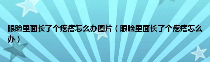 眼瞼里面長了個疙瘩怎么辦圖片（眼瞼里面長了個疙瘩怎么辦）