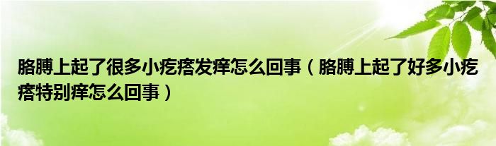 胳膊上起了很多小疙瘩發(fā)癢怎么回事（胳膊上起了好多小疙瘩特別癢怎么回事）