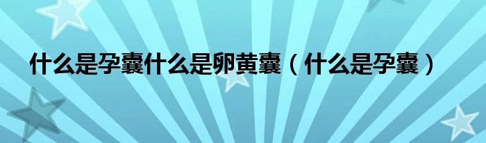 什么是孕囊什么是卵黃囊（什么是孕囊）