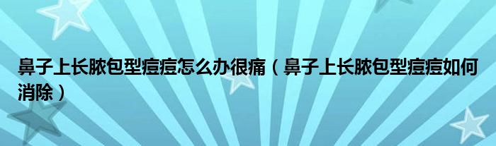 鼻子上長(zhǎng)膿包型痘痘怎么辦很痛（鼻子上長(zhǎng)膿包型痘痘如何消除）