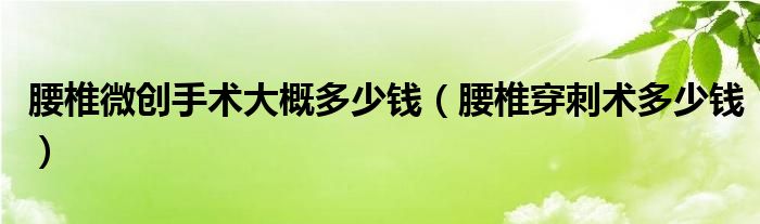 腰椎微創(chuàng)手術(shù)大概多少錢（腰椎穿刺術(shù)多少錢）