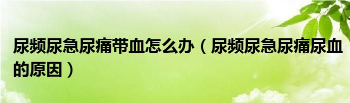 尿頻尿急尿痛帶血怎么辦（尿頻尿急尿痛尿血的原因）