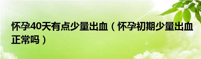 懷孕40天有點少量出血（懷孕初期少量出血正常嗎）