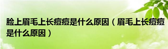 臉上眉毛上長(zhǎng)痘痘是什么原因（眉毛上長(zhǎng)痘痘是什么原因）