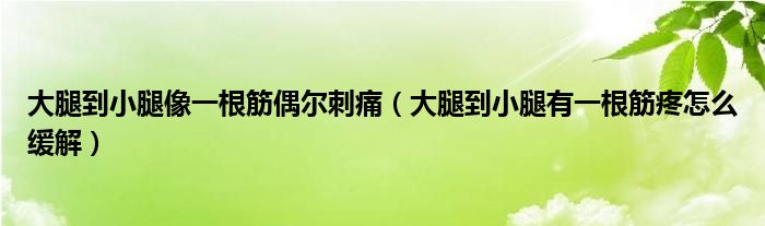 大腿到小腿像一根筋偶爾刺痛（大腿到小腿有一根筋疼怎么緩解）