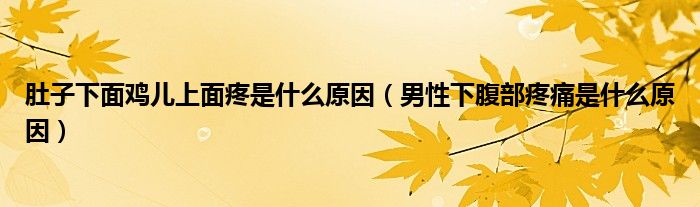 肚子下面雞兒上面疼是什么原因（男性下腹部疼痛是什么原因）