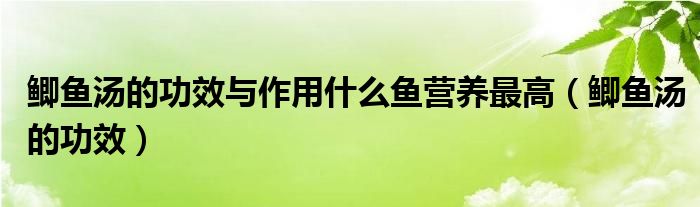 鯽魚湯的功效與作用什么魚營(yíng)養(yǎng)最高（鯽魚湯的功效）