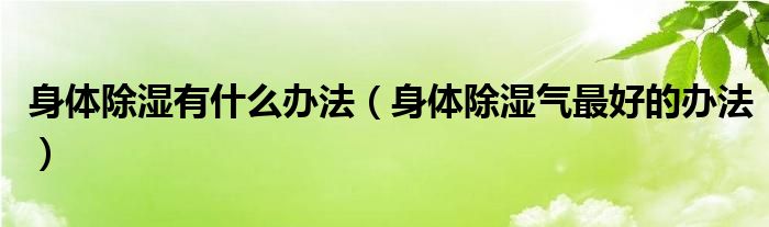 身體除濕有什么辦法（身體除濕氣最好的辦法）