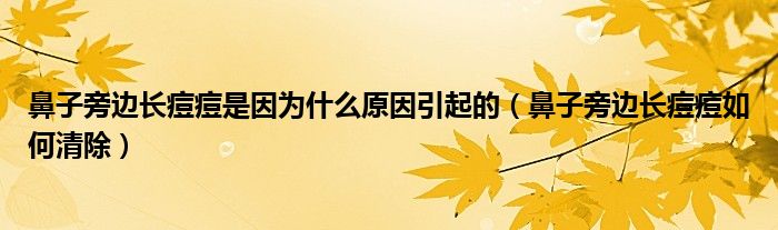 鼻子旁邊長痘痘是因為什么原因引起的（鼻子旁邊長痘痘如何清除）