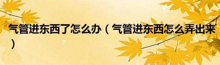 氣管進東西了怎么辦（氣管進東西怎么弄出來）