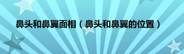 鼻頭和鼻翼面相（鼻頭和鼻翼的位置）