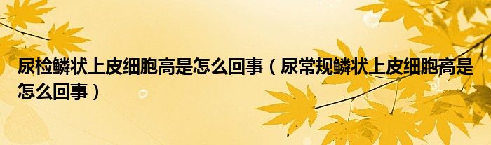 尿檢鱗狀上皮細胞高是怎么回事（尿常規(guī)鱗狀上皮細胞高是怎么回事）