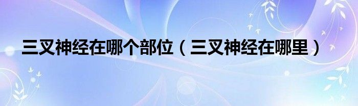 三叉神經(jīng)在哪個部位（三叉神經(jīng)在哪里）