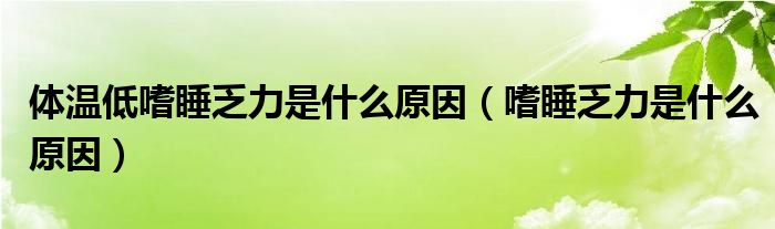 體溫低嗜睡乏力是什么原因（嗜睡乏力是什么原因）